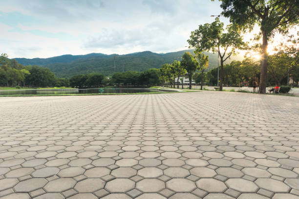 Best Professional Driveway Pavers  in Catlin, IL